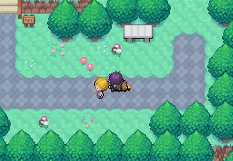 Pokemon Insurgence .